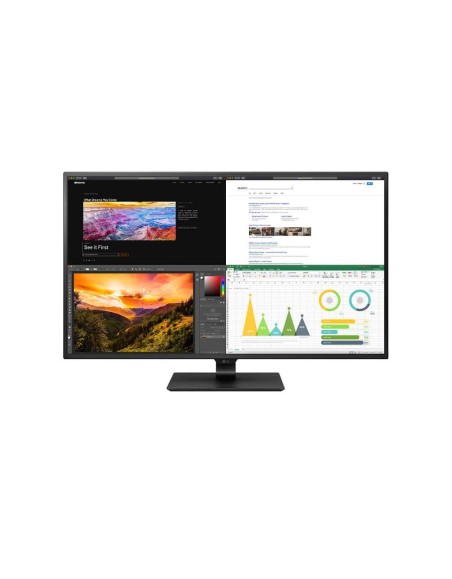 LG ELECTRONICS 42,5  LED IPS 3840X2160 DP HDMIX4 USBC USB MULTIME