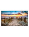 SHARP/NEC MULTISYNC E556 55  E-SERIES LARGE FORMAT DISPLAY,