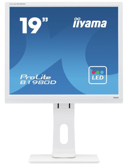 IIYAMA 19  WHITE TN-panel, 1280x1024