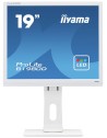 IIYAMA 19  WHITE TN-panel, 1280x1024