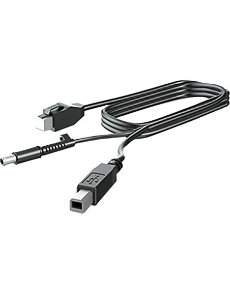 HP 300CM DP+USB PWR CABLE