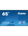 IIYAMA 65  LCD UHD