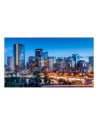 SAMSUNG Display per Videowall Samsung VM55C-E