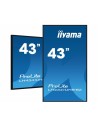 IIYAMA 43  3840x2160, 4K UHD IPS panel