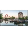 VESTEL 98 3840 x 2160(16:9) 500nits 24/7 L/P OLED