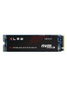 NVIDIA BY PNY 250GB PNY XLR8 CM3031 SERIES M2 PCIE NVME SATA3