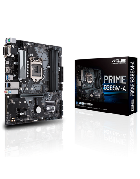 ASUS COMPONENTS ASUS SCHEDA MADRE MATX PRIME B365M-A