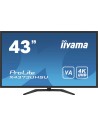 IIYAMA 43  UHD